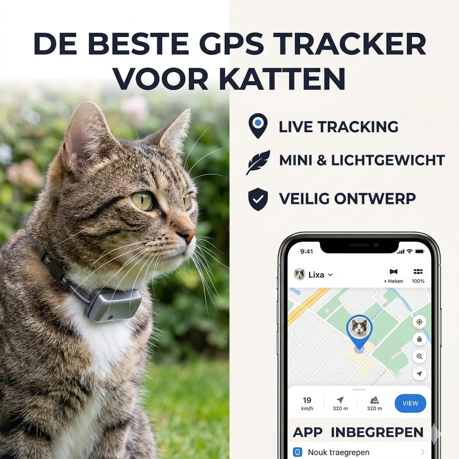 GPS-Tracker für Katzen: Modelle, Abo-Kosten und sicheres Halsband
