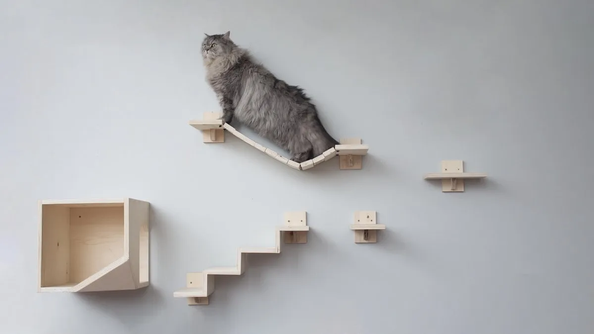 Katten klimmuur kopen: zo kies en hang je een veilige klimwand